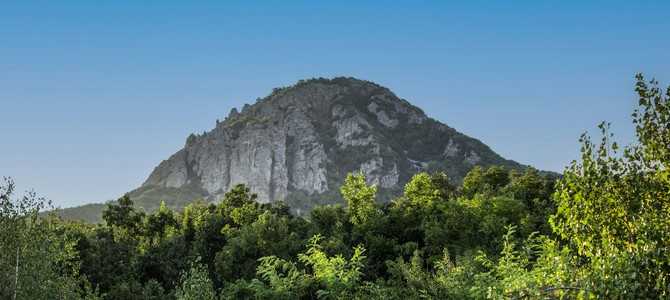 Влияние климата и географии на выбор сельскохозяйственных культур