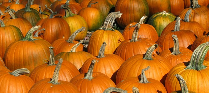 Значение исследования в выборе продуктов растениеводства