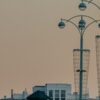 Растениеводство в Екатеринбурге: лучшие компании и адреса