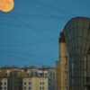 Дачник Зеленоград: магазин семян и товаров для сада - адреса и телефоны