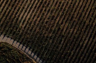 Земледелие России: история, современность, перспективы
