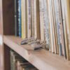 Садоводство книги: ТОП-8 необходимых ресурсов для садоводов