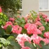 Центр Эффективного Садоводства в Самаре на улице Садовой 331
