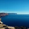 Купить саженцы винограда в Крыму - Лучшие цены и широкий выбор