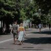 Купить саженцы роз Краснодарский край с доставкой
