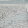Технологическая карта растениеводства: методика разработки и применения
