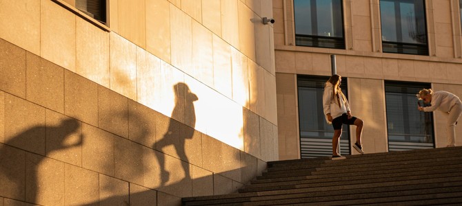 Урожайные плодовые деревья – ключевой элемент сада в Минске