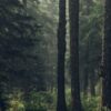 Русский язык: задание 12 (2023) с примерами правописания НИ и НЕ