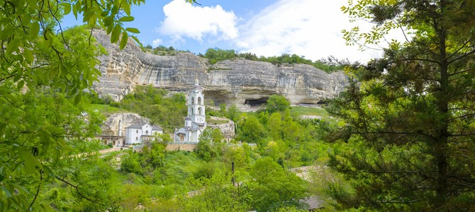 Особенности ухода за саженцами роз в условиях Крыма