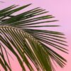 Выпишите грамматическую основу предложения 2 охарактеризуйте - SEO разбор