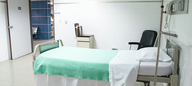 Интересные способы использования растительной пищи в повседневной жизни