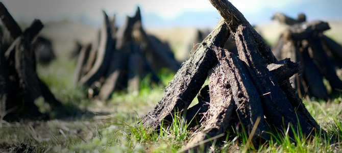 Оптимальное время и способы внесения торфа для максимальной пользы