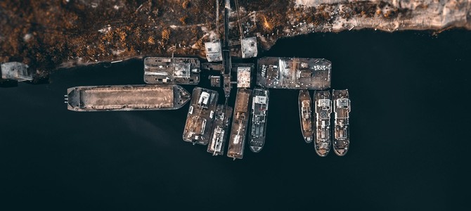 Плодовые деревья и кустарники в ассортименте питомников