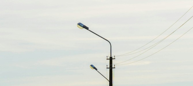 Лучшие питомники саженцев в городе