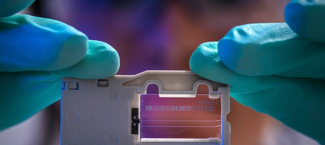 Обучение и развитие специалистов в контексте научных достижений в растениеводстве