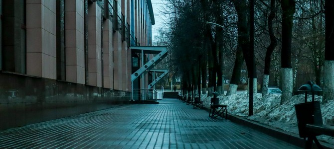 Экологические аспекты использования саженцев в сельском хозяйстве