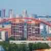 Купить саженцы роз в Новосибирске - лучшие цены и выбор