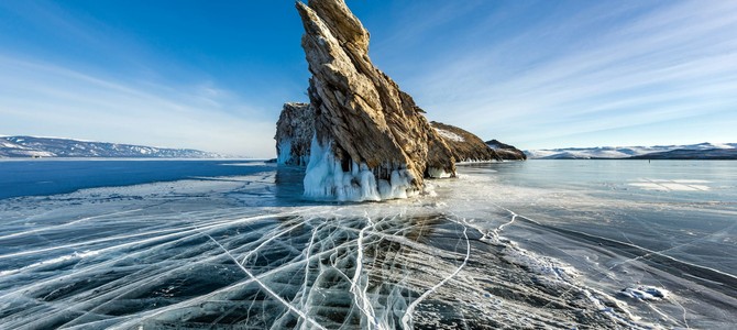 Основные сегменты растениеводства и их значение