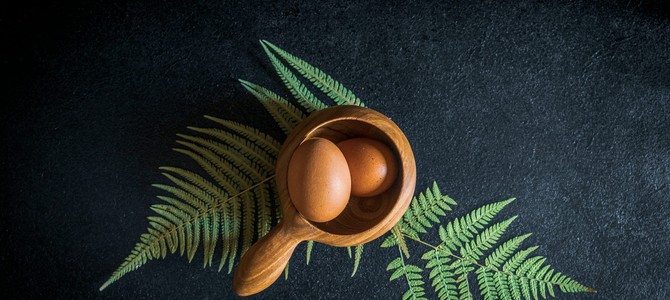 Какие деревья и кустарники выбирают местные жители