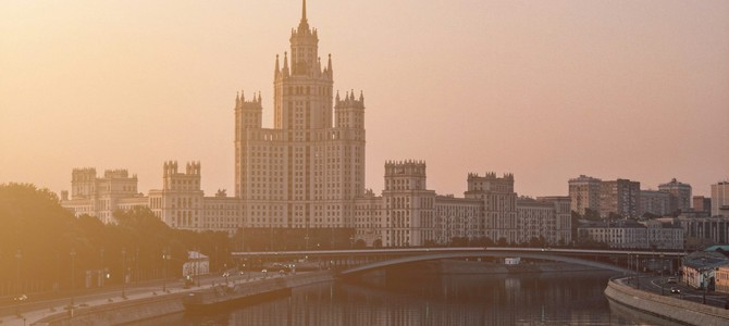 Различия в типах саженцев и их влияние на украшение сада