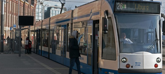 3.1 Описание основных видов растений саженцев