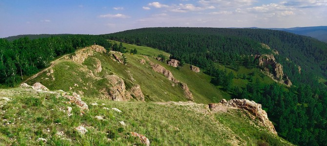 Акции и распродажи саженцев в регионе