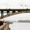 Саженцы Красноярск - купить домашние недорого в питомнике