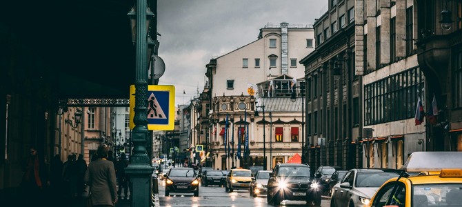 Лучшие места для приобретения саженцев в Москве