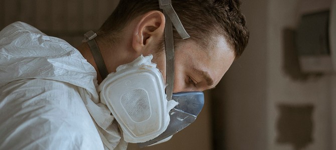 Популярные сорта саженцев в Тюмени