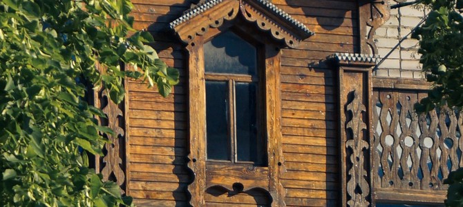 Тенденции и прогнозы по развитию рынка саженцев