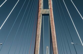 Саженцы во Владивостоке - купить с доставкой от производителя