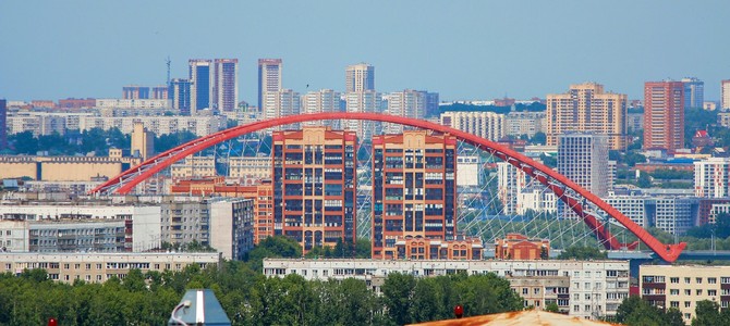 Советы по уходу за саженцами от шубина питомника