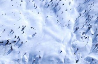 Ягодная республика саженцы с доставкой по России - лучший выбор для вашего сада!