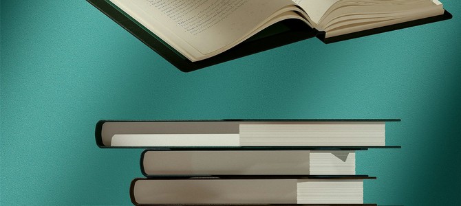 Учитывайте размер участка и тип почвы при выборе средства