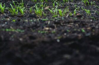 Свердловская селекционная станция садоводства продажа саженцев - лучший выбор в области