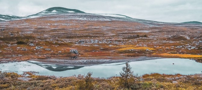 2.1 Приспособления к экстремальным условиям
