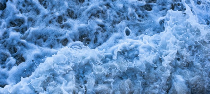 Подписывайтесь на новости магазина и следите за актуальными предложениями