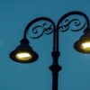 Железный купорос применение в садоводстве инструкция: основные правила и советы