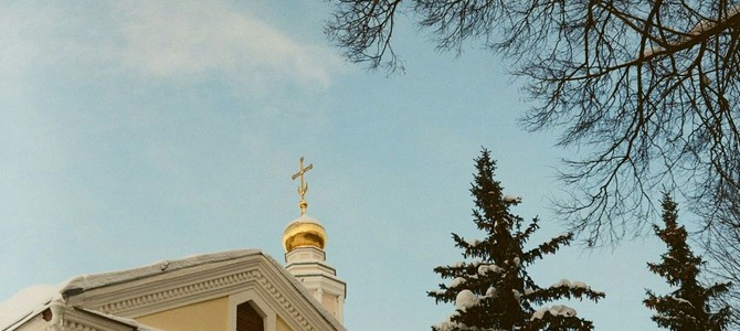 История и традиции выращивания саженцев во Владимирской области